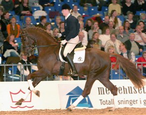 Skovens Rafael, Price Highlight of the 2007 Danish Stallion Auction