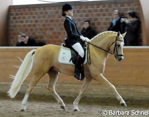 A pair that is still very "green" but showed a lot of promise and potential at the 2007 Pony Talent Search in hünxe: Florine Kienbaum and her gorgeous Donnertraum.