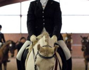 Bundeschampionate finalist Pegasus B (by Pan Tau B) under his new rider Juliette Piotrowski. This is another pair that is only getting started but already showed promise and sportsmanship.