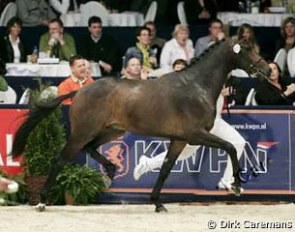 Zagreb (aka Blue Hors Zack), price highlight of the 2007 KWPN Select Sale :: Photo © Dirk Caremans