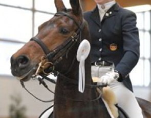 Lydia Camp & Magic Old Time: Look at those Trakehner ears!