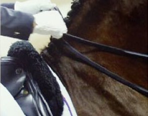 FEI Dressage Handbook - Guidelines for Judging