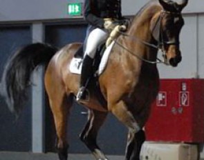 Isabell Werth schooling Apache in Munster