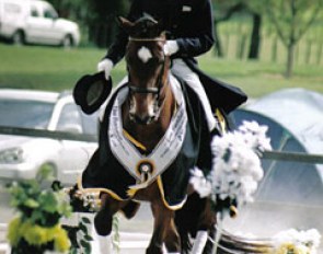 Bill Noble and Vincent St James win the 2007 New Zealand Horse of the Year Show and 2007 New Zealand Dressage Championships :: Photo © Barbara Thompson