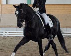 Jill de Ridder on Disco Boy