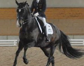 Louisa Luttgen on Habitus. Like Sanneke Rothenberger, Louisa qualified with three horses for Warendorf -- two ponys, Dornik B and her own Keep Cool, and with Habitus for the Junior riders tour (where she ended up at a respectable 6th place)