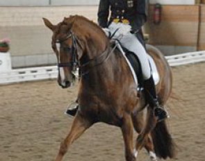 Annika von Holdt on Donna Fantasia