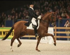 Aat van Essen on Premier at the 2007 Zwolle Stallion Show :: Photo © Dirk Caremans