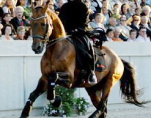 The horse in canter "played" Voldemort in the Harry Potter quadrille