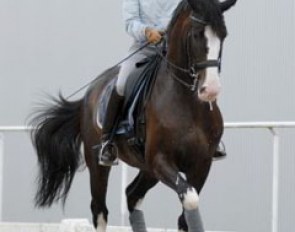 Nadine Capellmann training her new GP horse Raffaldo