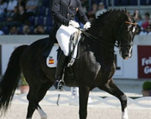 Jordi Domingo and Prestige at the 2008 CDIO Aachen :: Photo © Astrid Appels