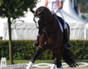 Beatriz Ferrer-Salat schooling Faberge