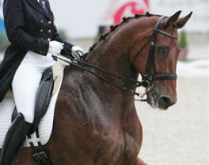 Françoise Hologne-Joux on Born :: Photo © Astrid Appels