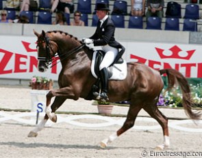 Heike Kemmer on her new horse St. Tropez (by Sion x Gloster). The contact with the bit was not optimal with lots of pulling in the Prix St Georges, but the horse did show lovely extended canter.