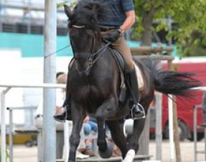 Stefan van Ingelgem on Withney van 't Genthof