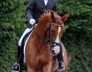 Isabell Werth warming up her youngster Bella Rose for a demonstration