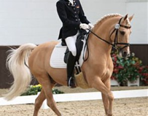 Katharina Weychert on Golden Derano C