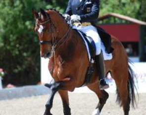 Matthias Rath rode Triviant in the Piaff Forderpreis
