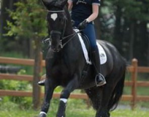 Junior rider Jill de Ridder is training Disco Boy in Balve