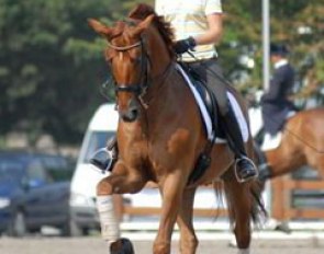 Victoria Michalke on Grand Augustinus