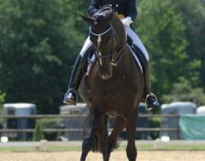 Spanish Morgan Barbancon on Mr Q