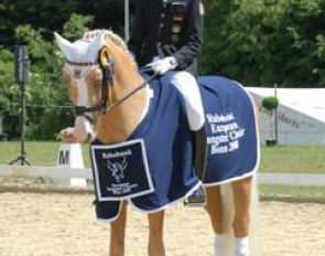 Sönke Rothenberger and Deinhard B win Big at the 2008 CDI-P Bonn :: Photo © Barbara Schnell