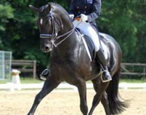 Marrigje van Baalen on Don Cardinale