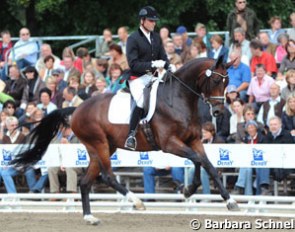 Heiner Schiergen on the 4-year old Riding Horse Champion Santorini OLD (by Stedinger x Donnerschwee)