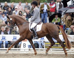 Wolfhard Witte and Furst Nymphenburg at the 2008 Bundeschampionate