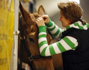 Groom Anna Kleniuk braids Warum Nicht :: Photo © Dirk Caremans