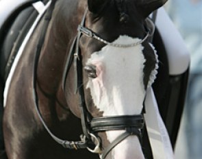 A face doesn't get any prettier than this one!
