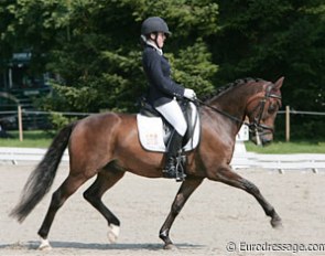 Julie van Olst on Haasendonck's Sultan at the 2008 European Pony Championships :: Photo © Astrid Appels