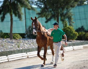 The vet inspection at the 2008 European JR YR Championships