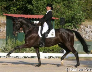 Thea Felicitas Muller and Highway at the 2008 European Junior/Young Riders Championships :: Photo © Paul van Oers