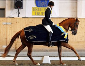 Evelina Johannesson on My Princess at the 2008 Swedish Young Horse Championships