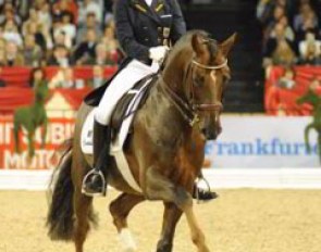 Klimke was the favourite for the 2008 Nurnberger Burgpokal title, but in the finals, the Westfalian stallion lacked some collection in the canter despite the fact that the trot was outstanding.