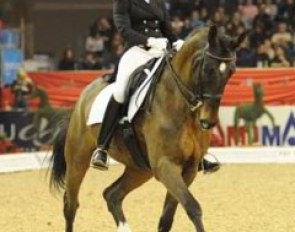 Canadian Young Rider Jessica Rhinelander on Allende at the 2008 Young Rider World Cup Final in Frankfurt :: Photo © Barbara Schnell