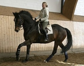 Monet (by Michellino) :: Photo © Ridehesten.com
