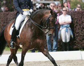 Australian Hayley Beresford on the Lusitano stallion Relampago de Retiro. Beresford is working at Isabell Werth's stable in Rheinberg where she rides 8 horses a day. Isabell can be seen in the background.