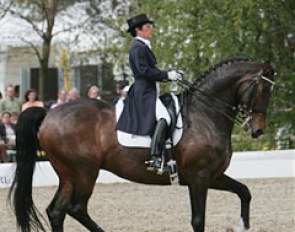 Jeannette Haazen on her number one Grand Prix horse Nartan (by Jazz)