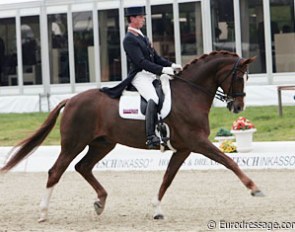 Carl Hester took over the ride on Dolendo (by Donnerhall) from his partner Spencer Wilton with the goal to qualify for the British Olympic team.