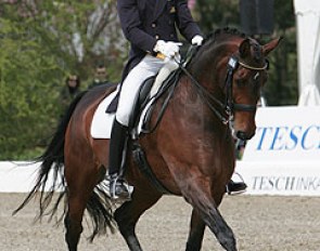 Brett Parbery and Victory Salute at the 2008 CDI Hagen