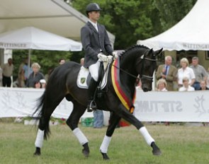 Elfado at the 2008 Trakehner Championships in Hanover :: Photo © Stefan Lafrentz