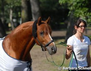 Kienbaum's trainer taking Going East for a stroll