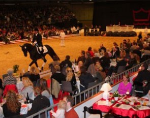 The auction at the Danish warmblood stallion licensing