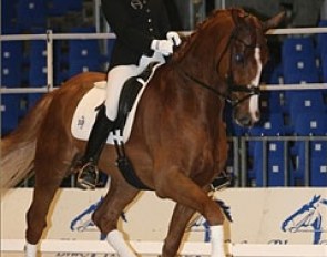 Astrid Gemal and Charmeur at the 2008 Danish Young Horse Championships in Herning