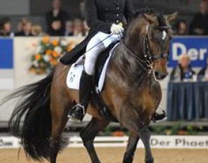 Isabell Werth's Australian working student Haylee Beresford and the Brazilian bred Lusitano stallion Relampago do Retiro