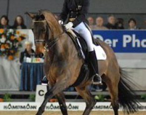 Fabienne Lütkemeier, usually a Junior rider, competed very smoothly in the freestyle tour aboard her mother's horse Amando -- and placed 4th in the qualifier and 3rd in the freestyle.