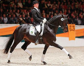 Hannes Lütt with Elfado at the 2008 Trakehner Stallion Gala :: Photo © Trakehners International