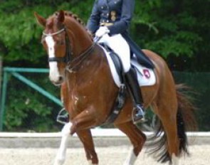 Kirsten Sieber & Charly clearly won the preliminary test, but in the freestyle Charly was a bit nervous and tense, giving the overall victory to Kathleen Keller